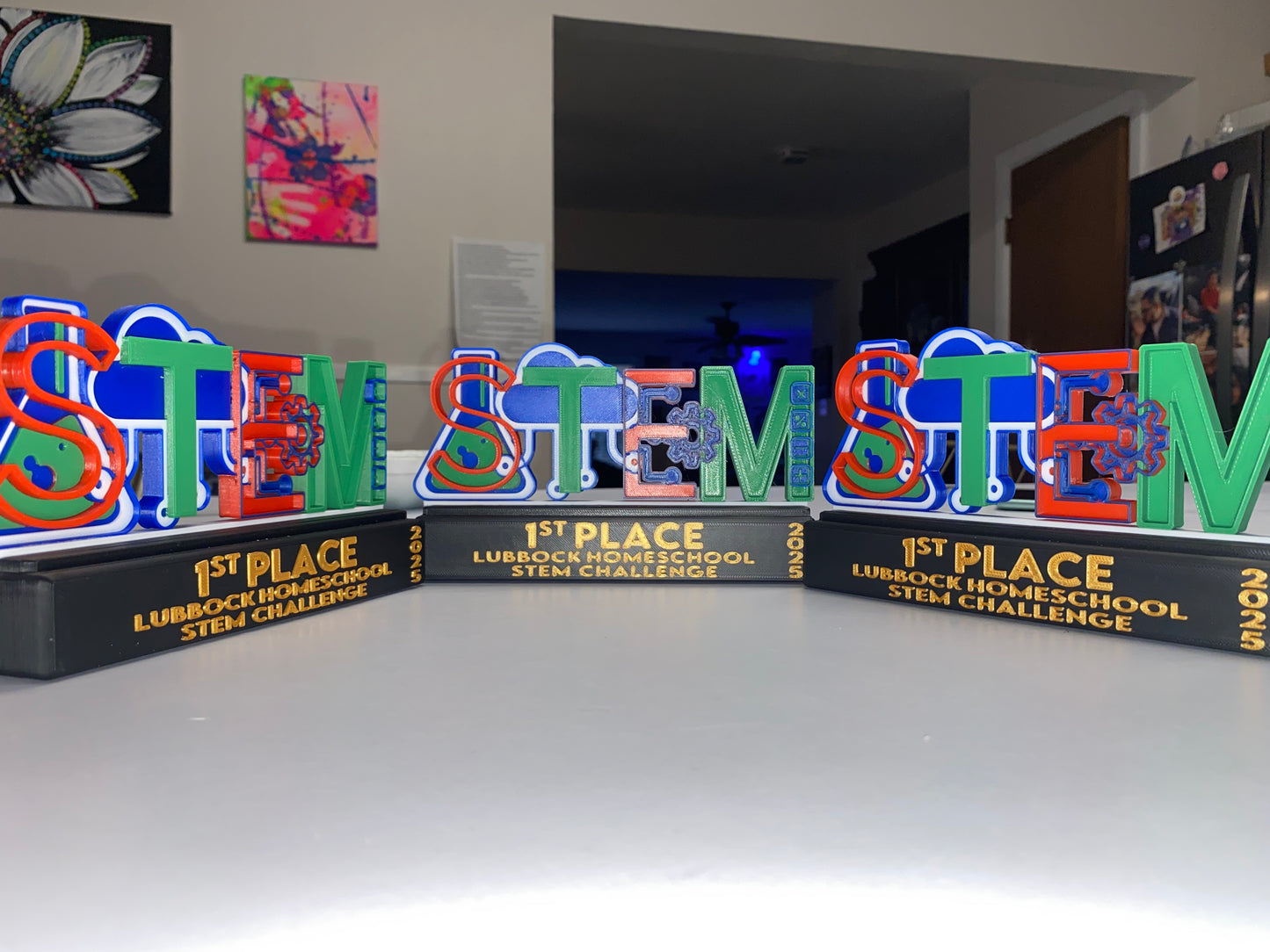 Custom 3D-Printed Award