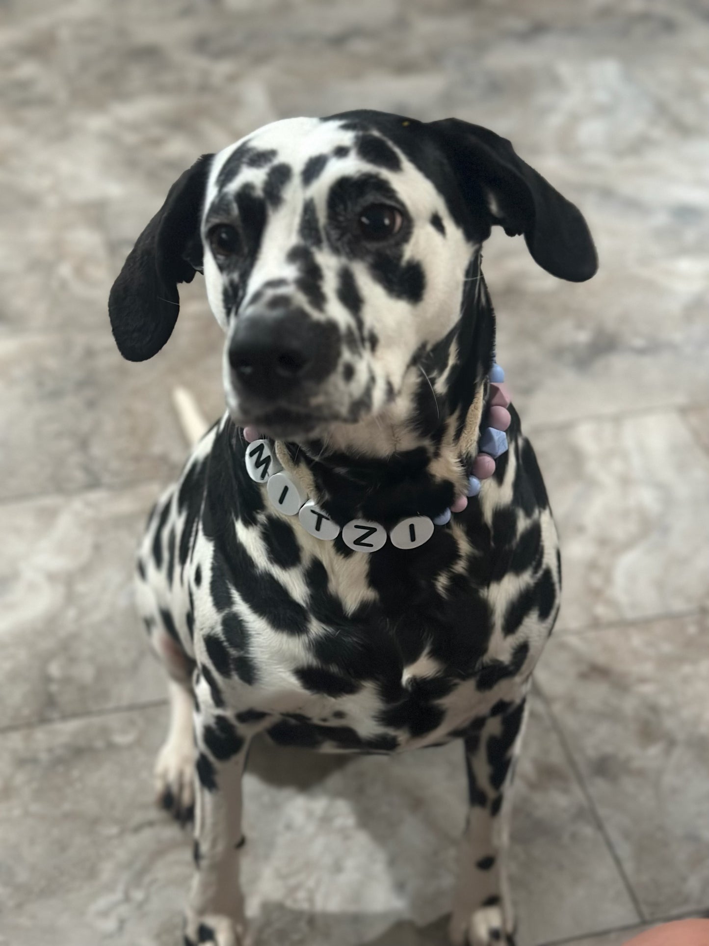 Custom Jumbo Letter Bead Dog Collar