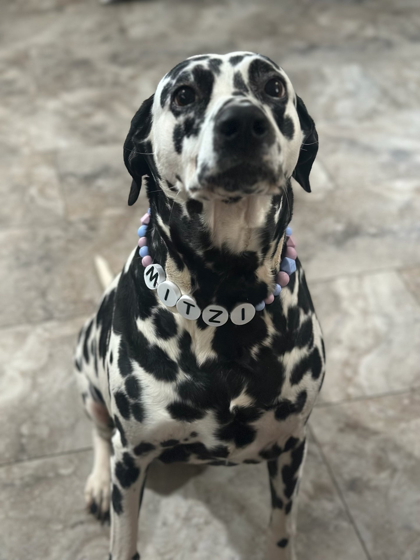Custom Jumbo Letter Bead Dog Collar
