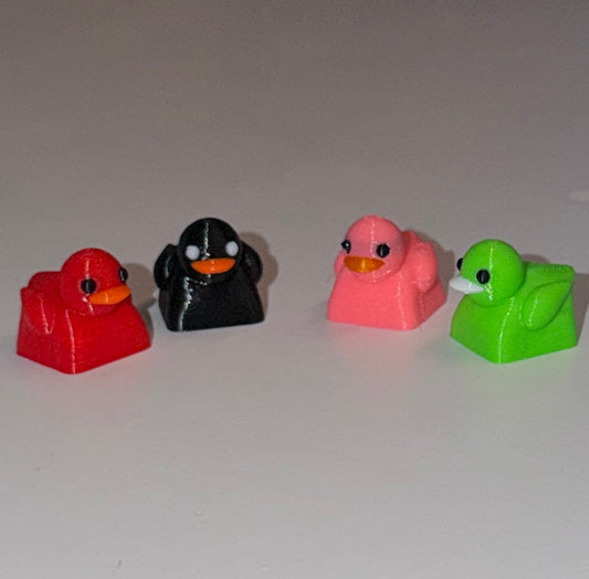 Fancy Caps
