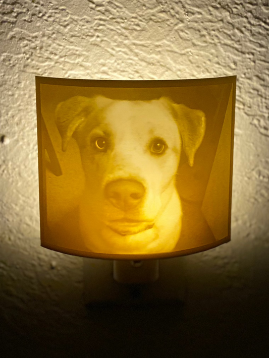 Custom Night Light