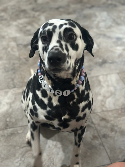 Custom Jumbo Letter Bead Dog Collar
