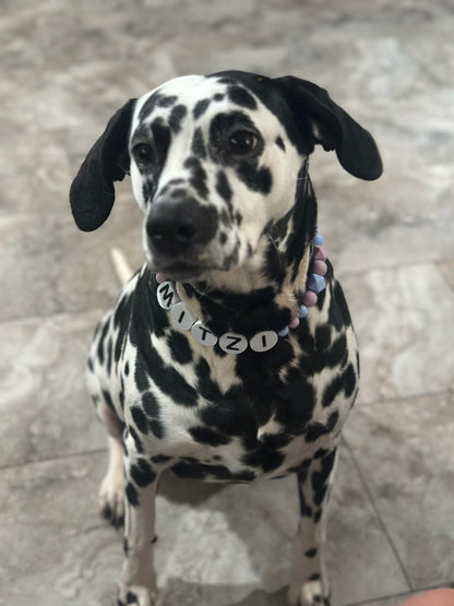 Custom Jumbo Letter Bead Dog Collar