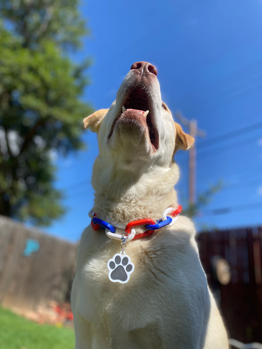 Paw Print Smart Tag