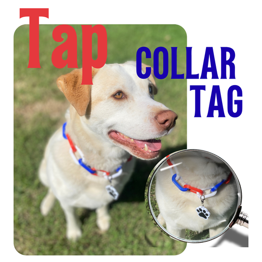 Paw Print Smart Tag