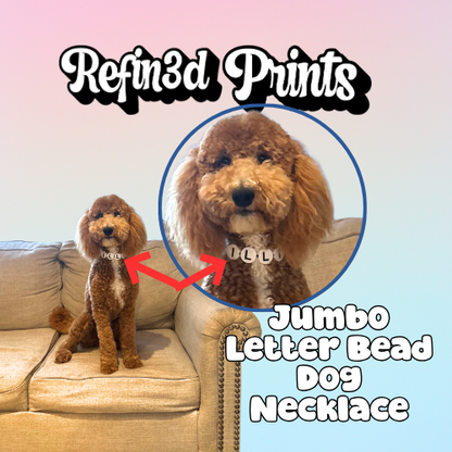 Custom Jumbo Letter Bead Dog Collar
